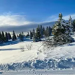 Log With Views Of Jotunheimen