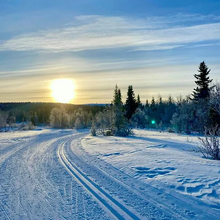 Log With Views Of Jotunheimen * Хафьель