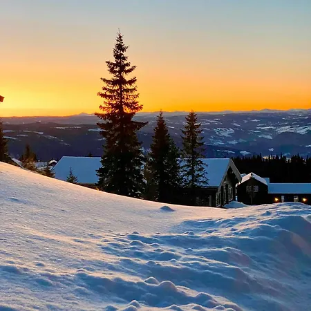 Log With Views Of Jotunheimen * Хафьель