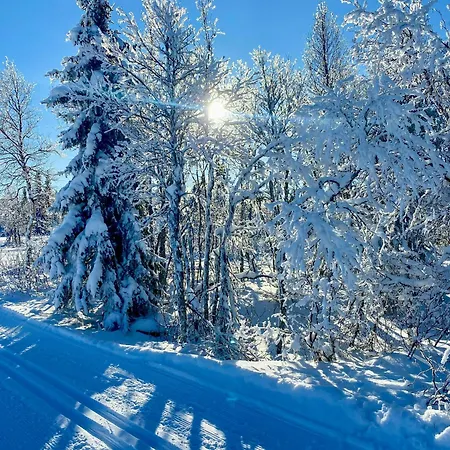 Log With Views Of Jotunheimen * Хафьель