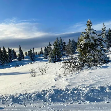 Log With Views Of Jotunheimen