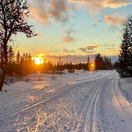 Log With Views Of Jotunheimen Сasa de vacaciones