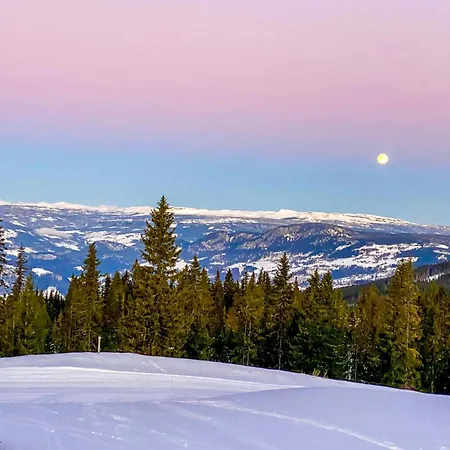 Log With Views Of Jotunheimen