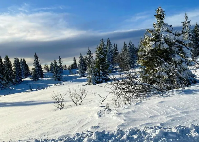 Log With Views Of Jotunheimen