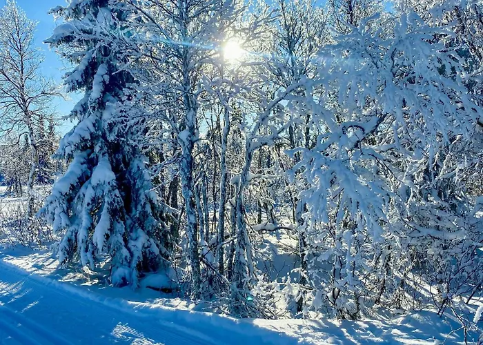 Log With Views Of Jotunheimen