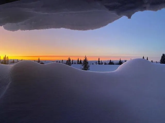 Log With Views Of Jotunheimen * Øyer